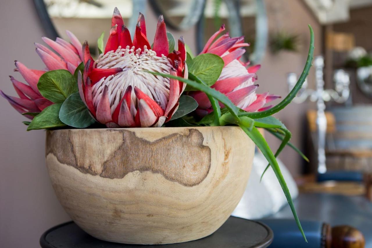 B&B Vinboho Cape Town Bagian luar foto